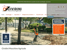 Tablet Screenshot of cividinimacchineagricole.it